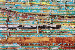 Pickett's Charge (Witness Tree) (detail)