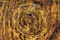 Vault 1 (detail)