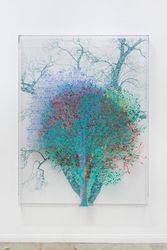 Numbers and Trees: Central Park Series IV: Tree #7, Maria