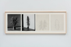 Shadows VIII, Set 1